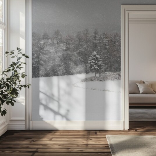 Tapet – Vinterlys i skogen Tapet – Vinterlys i skogen