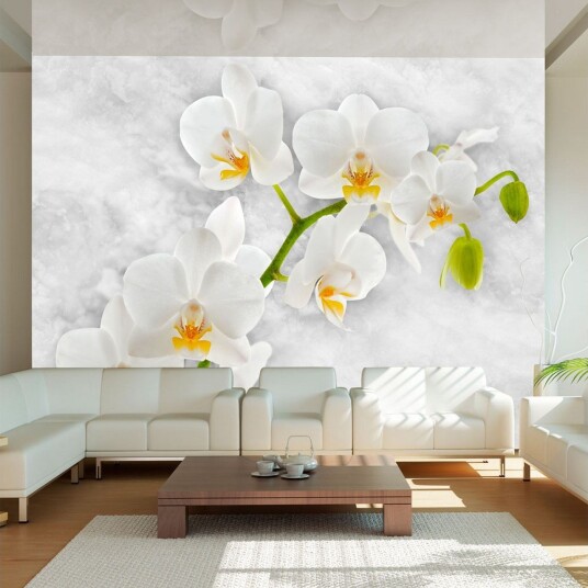 Fototapet Lyrical Orchid White 150x105 - Artgeist sp. z o. o.