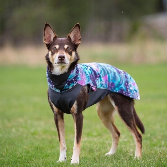 Pomppa Jumppa Fleecetrøye Hund Lilla & Blå (56 cm)