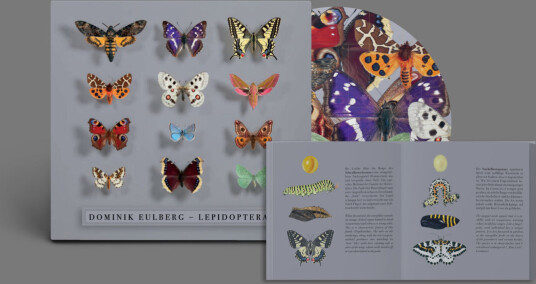 Dominik Eulberg Lepidoptera CD