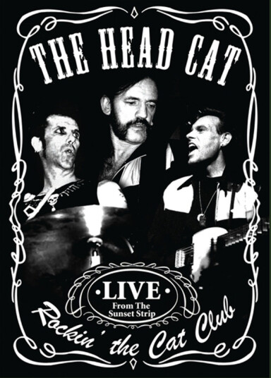 Head Cat Rockin' The Cat Club DVD