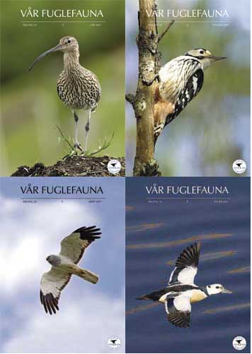 Norsk Ornitologisk Forening Vår Fuglefauna   2007  hele årgang 30