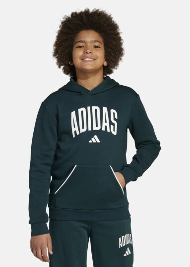 Adidas J Clgt Oh Fl Hd Aurivy/White 128 Hoodies