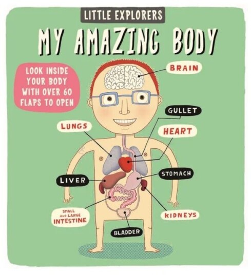 Little Explorers: My Amazing Body av Ruth Martin