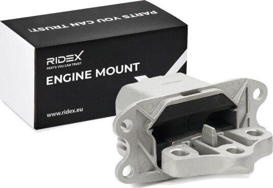 RIDEX 247E1429 Motorfeste