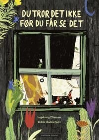 Du Tror Det Ikke Før Du Får Se Det Av Ingeborg Eliassen