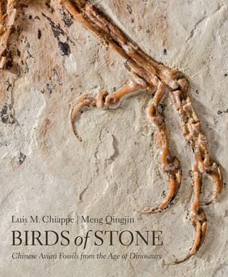 Birds Of Stone Av Luis M. (Curator And Director Natural History Museum Of Los Angeles County) Chiappe, Meng Qingjin