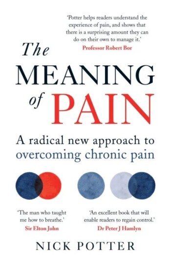 The Meaning Of Pain Av Nick Potter