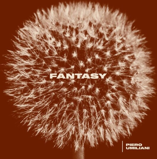 Fantasy Vinyl
