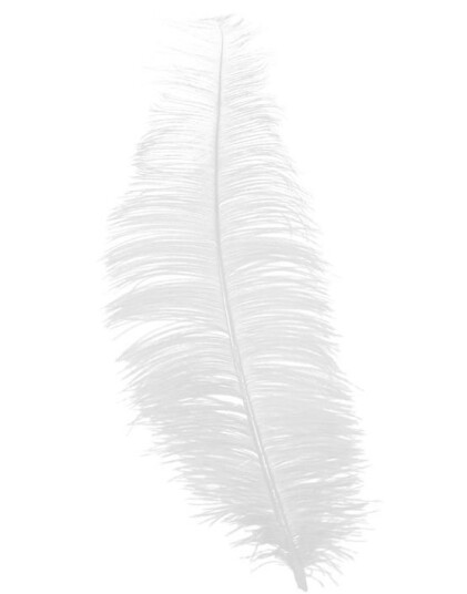 12 Stk. Hvite Strutsefjær 30 cm 12 Stk. Hvite Strutsefjær 30 cm
