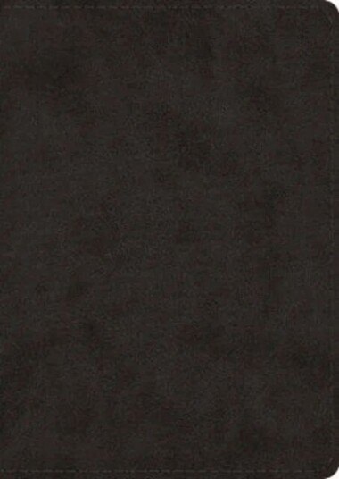 Esv Study Bible, Large Print