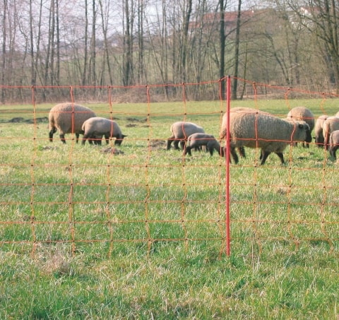 Saue strømgjerde 50m 90cm H.