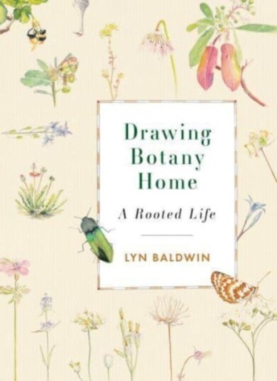 Drawing Botany Home Av Lyn Baldwin
