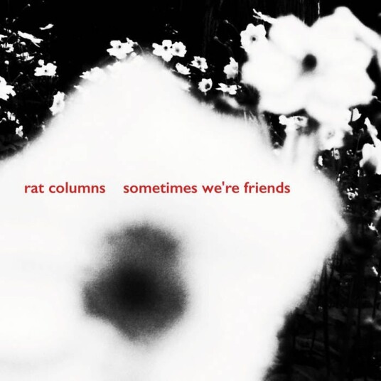Rat Columns Sometimes We're Friends LP/Vinyl