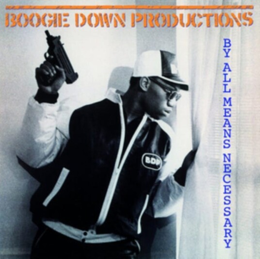 Boogie Down Productions  By All Means Necessary  LP/Vinyl