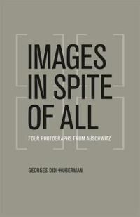 Images In Spite Of All Av Georges Didi-Huberman