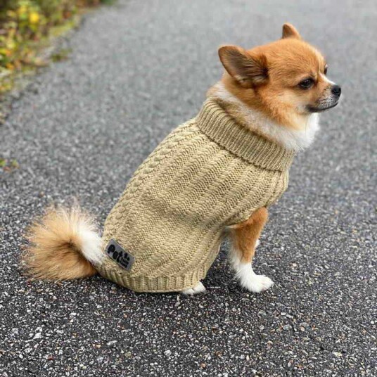 Hyttetur Strikkegenser Til Hund Beige