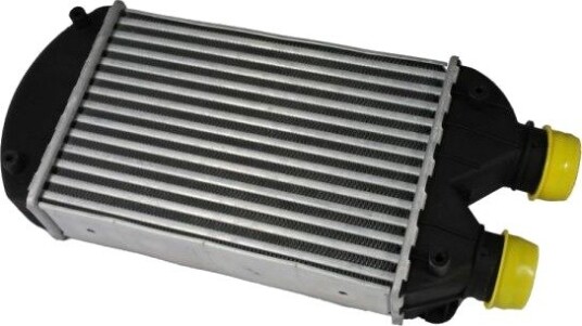 Intercooler THERMOTEC DAF002TT