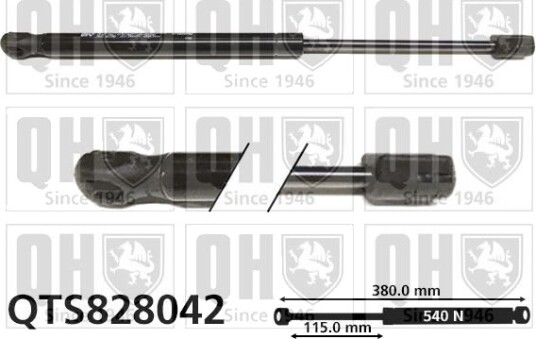 QUINTON HAZELL QTS828042 Baklukedemper