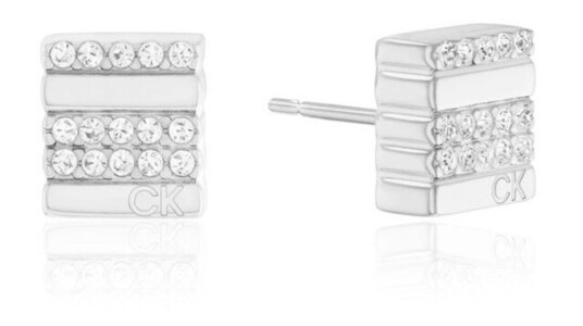 Calvin Klein MINIMALISTIC METALS Øredobber Rustfritt Stål 35000370 - Dame - Stainless Steel