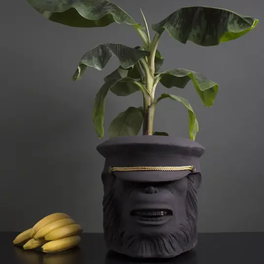 Garden Glory, Monkey krukke Large Black