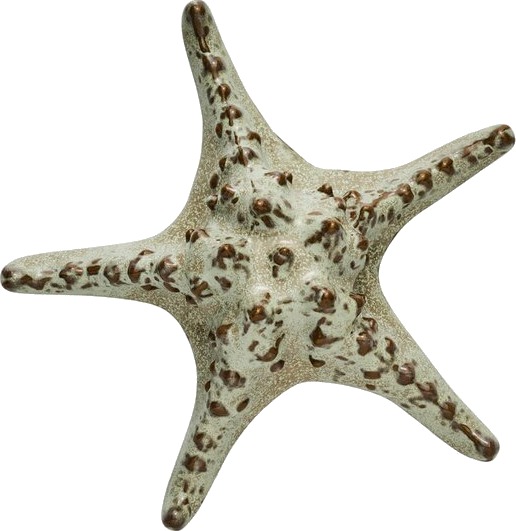 Lene Bjerre   Shellille dekorasjon 5 cm lin
