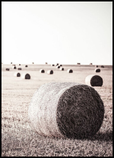 Rustic Hay Bale Plakat Plakat / 50x70cm