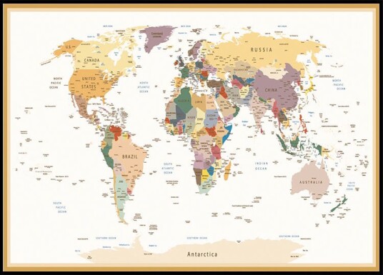 Political World Map Plakat Plakat / 40x50cm
