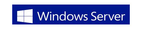 Microsoft Windows Server Datacenter Edition - lisens & programvareforsikring - 1 prosessor