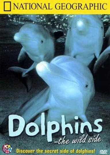 Dolphins The Wild Side National Geographic DVD Dolphins The Wild Side National Geographic DVD