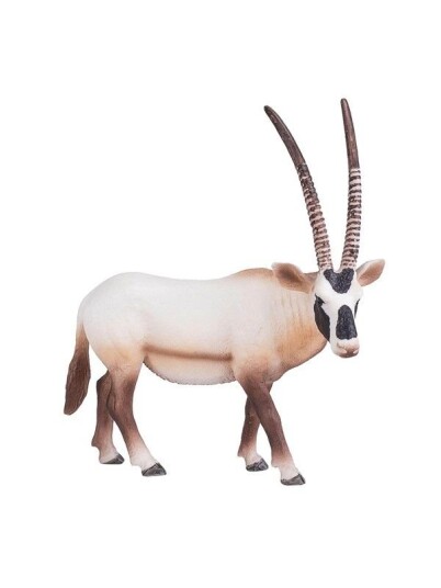 Mojo   Wildlife Oryx