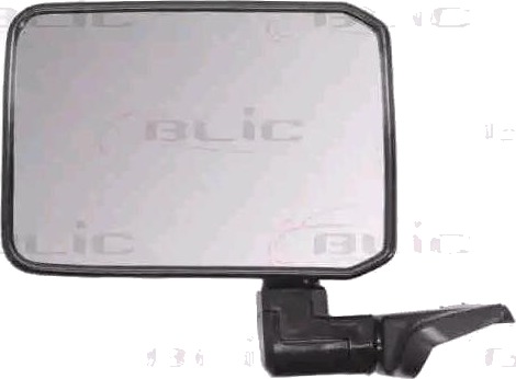 BLIC 5402-04-9992930P Sidespeil