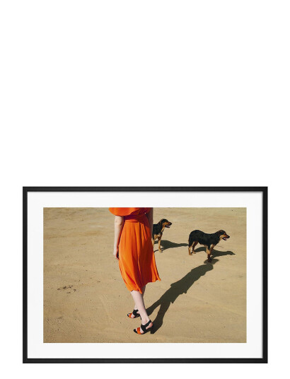 Democratic Gallery Poster Walking Dogs - Orange - 21X30 Democratic Gallery Poster Walking Dogs - Orange - 21X30