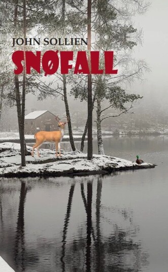 Snøfall Av John Sollien