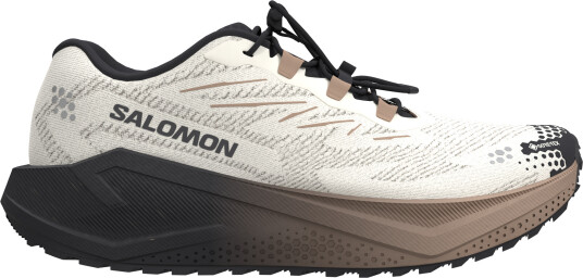 Salomon Women´s Aero Blaze 4 Grvl GORE TEX Vanilla Ice / Black / Burro 42 ⅔