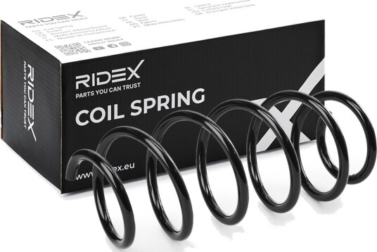 RIDEX 188C1141 Fjær