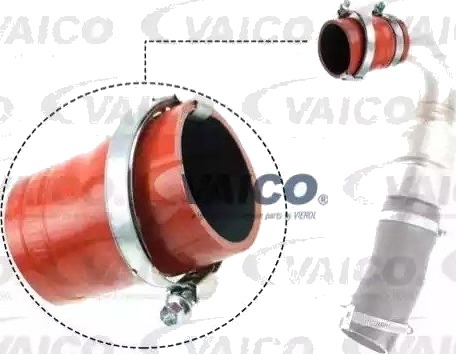 VAICO V25 1035 Ladeluftslange