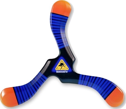 Boomerang Zebra