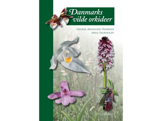 Danmarks Vilde Orkideer | Niels Faurholdt Henrik Ærenlund Pedersen | Språk: Dansk