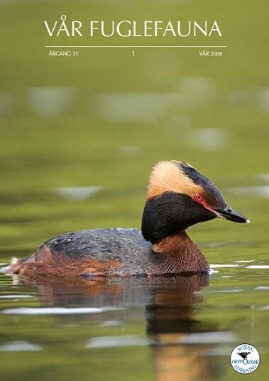 Norsk Ornitologisk Forening Vår Fuglefauna   2008 1 årgang 31