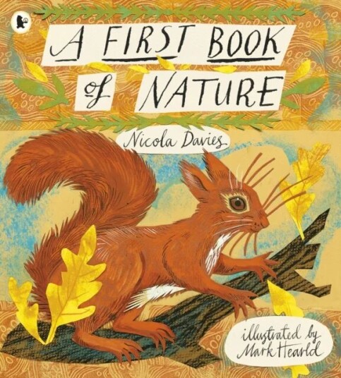 A First Book Of Nature Av Nicola Davies A First Book Of Nature Av Nicola Davies