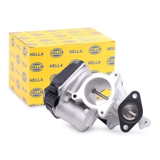 EGR Ventil HELLA 6NU 010 171-291
