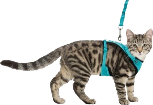 Trixie Mesh Y-sele for katt med kobbel 39-60cm, elastisk, i ulike farger