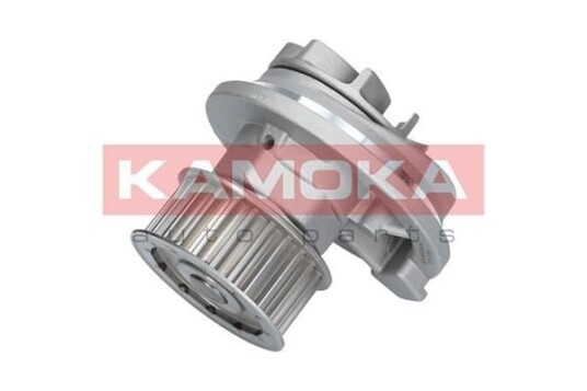 KAMOKA T0069 Vannpumpe