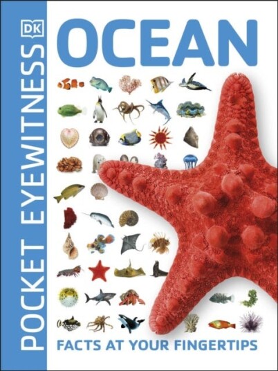 Ocean Facts at Your Fingertips