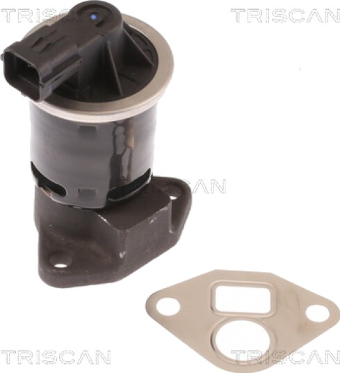 EGR Ventil TRISCAN 8813 21004 EGR Ventil TRISCAN 8813 21004