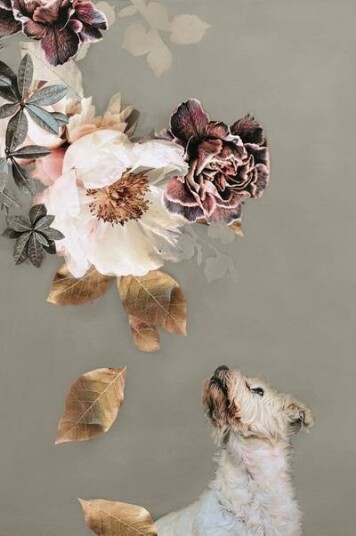 Malerifabrikken Poster Pet Couture 2 1682746-01-48