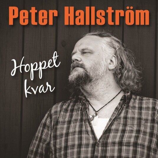 Peter Hallstrom Hoppet Kvar Vinyl Peter Hallstrom Hoppet Kvar Vinyl