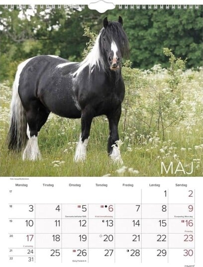 Mayland Vgkalender Heste 2027