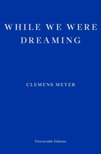 While We Were Dreaming Av Clemens Meyer
